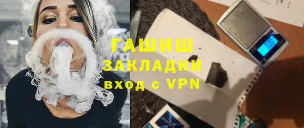 гидра Богородицк