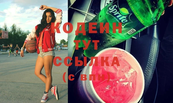 гидра Богородицк