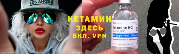 гидра Богородицк