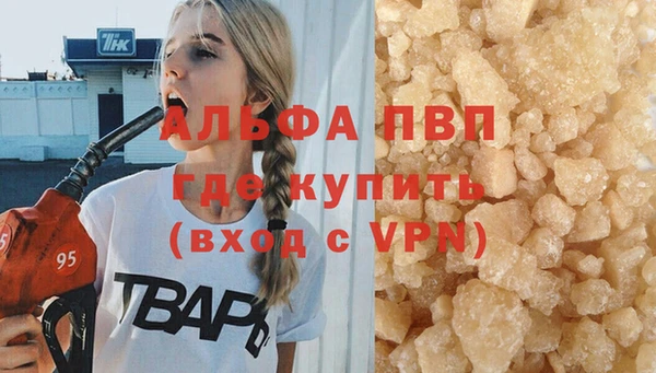 гидра Богородицк