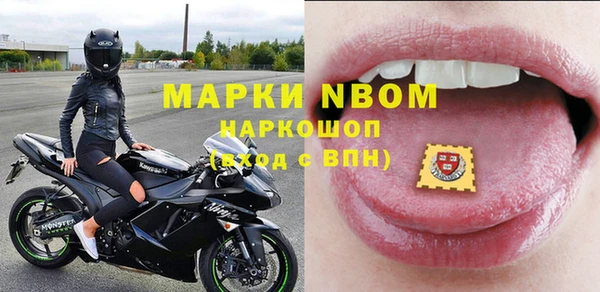 гидра Богородицк