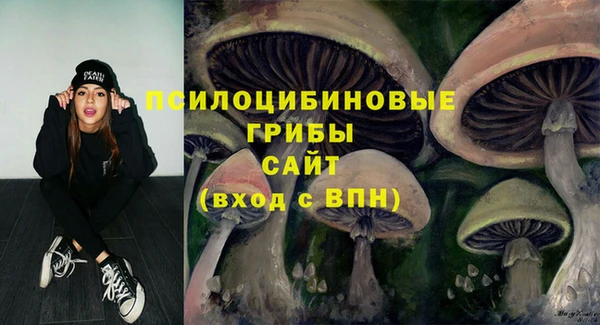 прущий лед Богородск