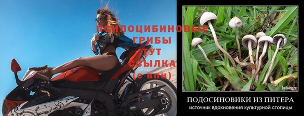 гидра Богородицк