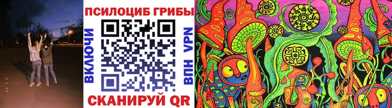 купить  цена  Котлас  гидра зеркало  Псилоцибиновые грибы GOLDEN TEACHER 